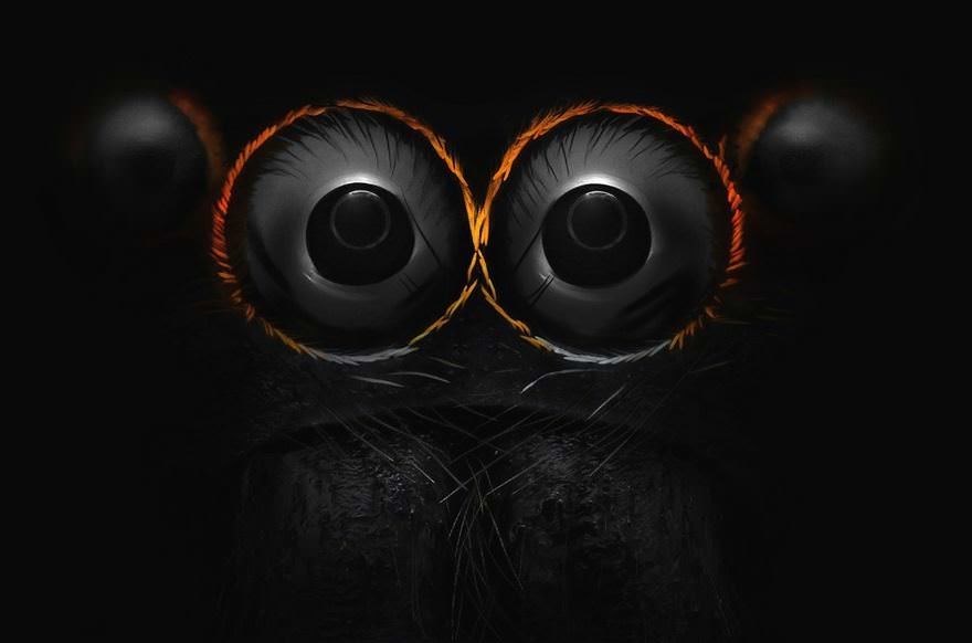 Eyes Of A Jumping Spider