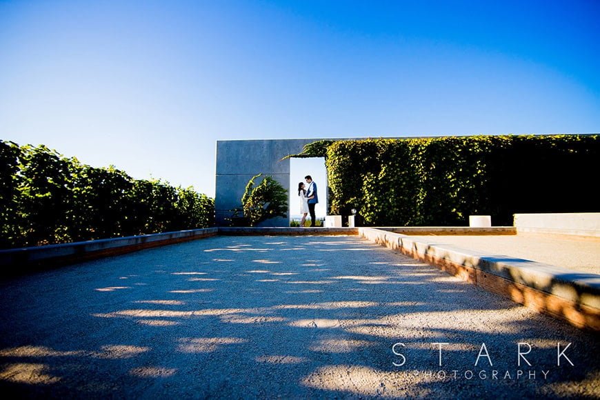 Low angle creative portrait of a wedding couple using the Canon 6d mark ii with a low angle lens by Stark Photography. 