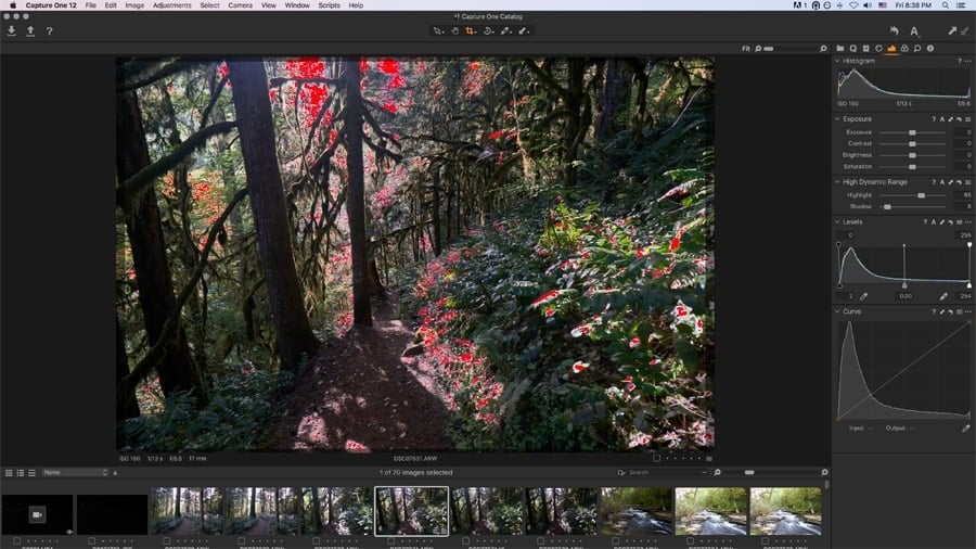 instal the new version for mac Capture One 23 Pro 16.2.5.1588