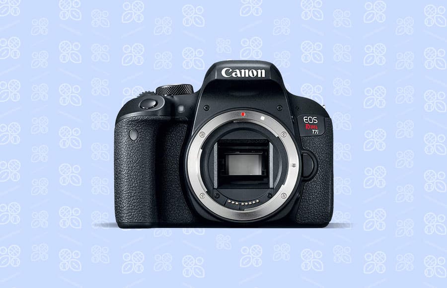 best camera for sports budget Canon DSLR