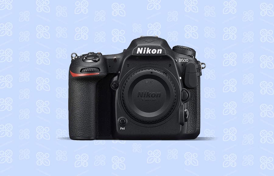 best camera for sports Nikon