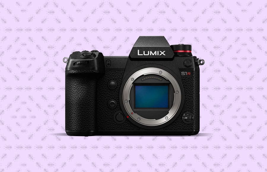 macro cameras - with lcd screen and image stabilization the lumix is idea for macro shooting