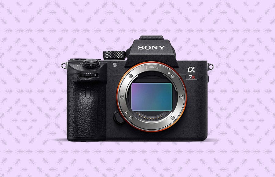 best mirrorless digital camera for macro shots in any light conditions