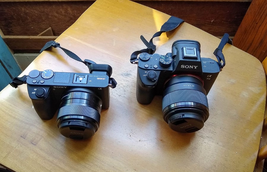 mirrorless cameras compared