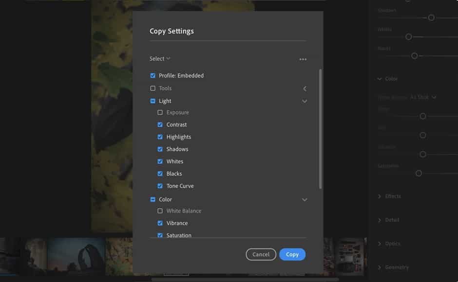 use presets in photo editors like lightroom for faster workflow