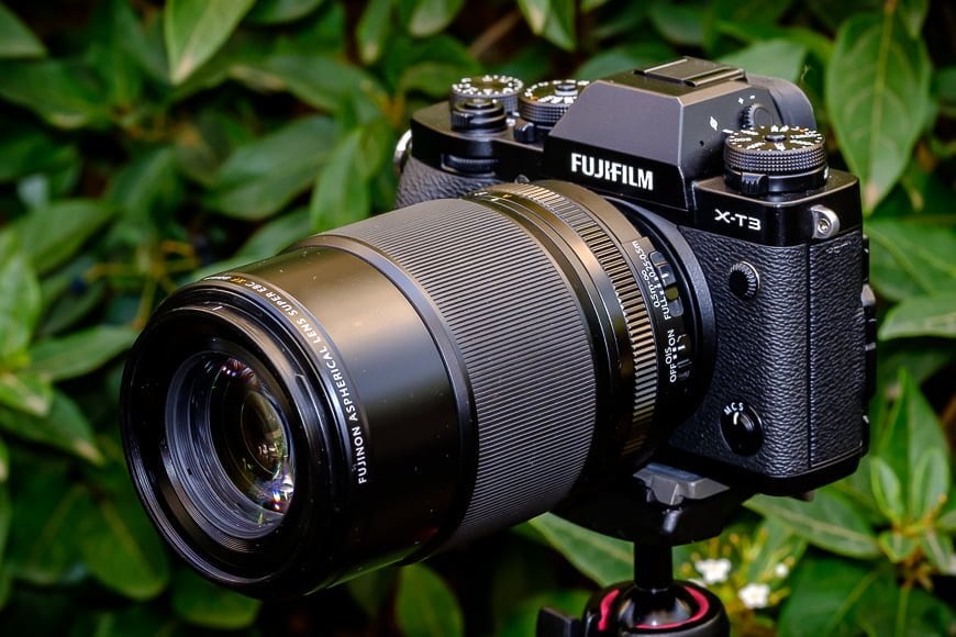 Pekkadillo Harden Vlot Fujifilm XF 80mm F/2.8 Review | Macro & Portrait Lens