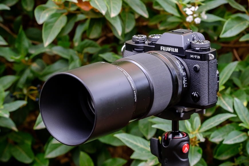 niezen Cursus leeftijd Fujifilm XF 80mm F/2.8 Review | Macro & Portrait Lens