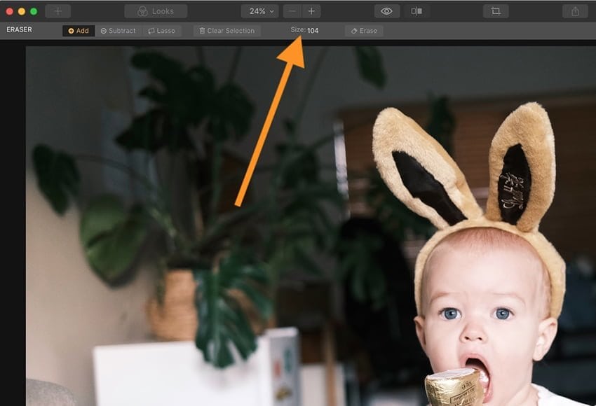 remove objects from photos with brush tool