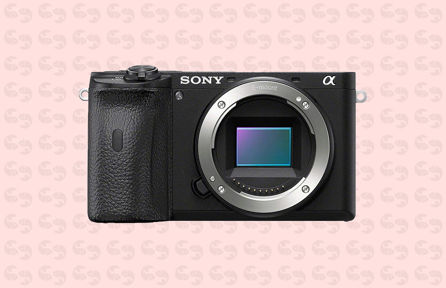 Top mirrorless cameras for street: Sony a6600