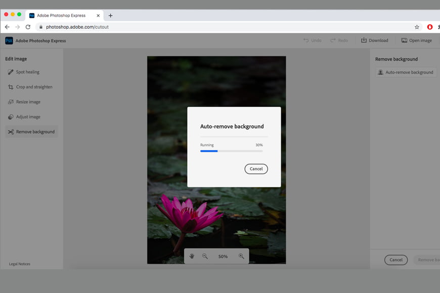 How to change background colour in photoshop express. Auto-remove background means no quick selection tool needed.