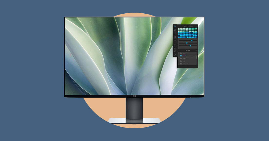budget option as best monitor photo editing