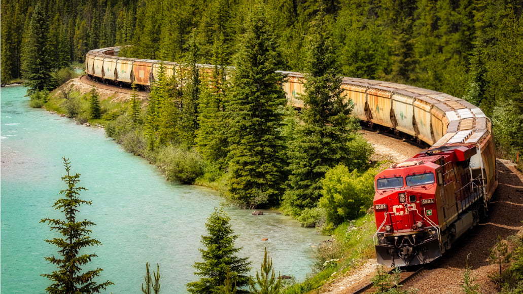 Train travelling through a forest 