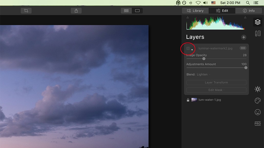 Luminar 4 allows you to toggle layers off