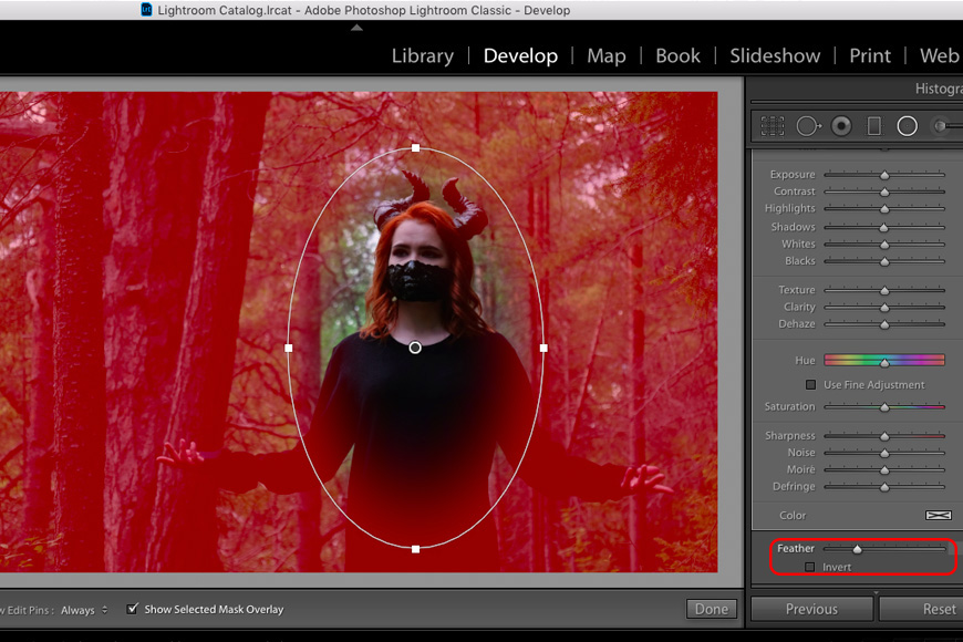 Vignette lightroom is very easy to use on any image