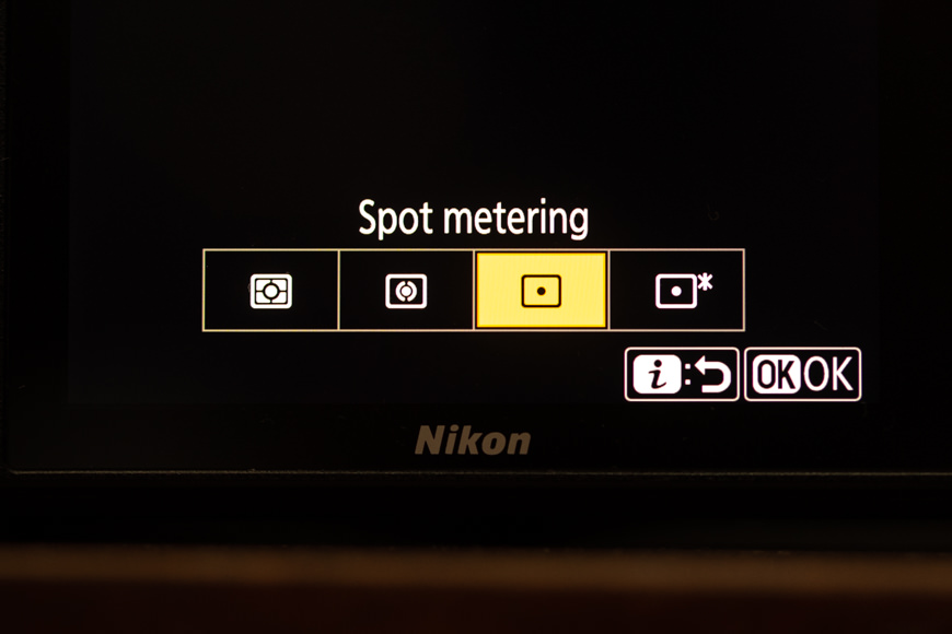 Subtle changes to camera settings are needed for backlight photography
