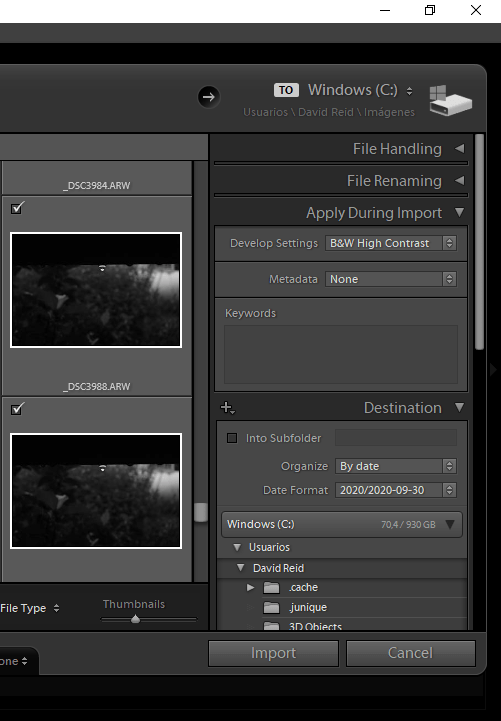 Apply edits as you import everything to LR