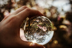 Guide to Crystal Ball Photography