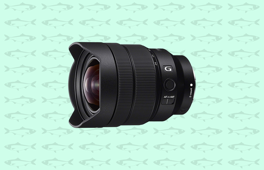 For the best real estate lens from Sony, you might like to get the FE 12-24