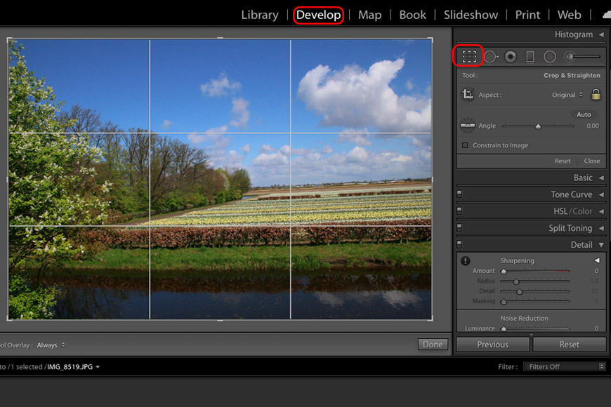 The cropping lightroom tool can be found in the top of the right panel.