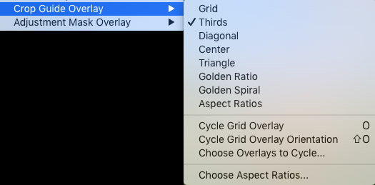 Crop Guide Overlay options.