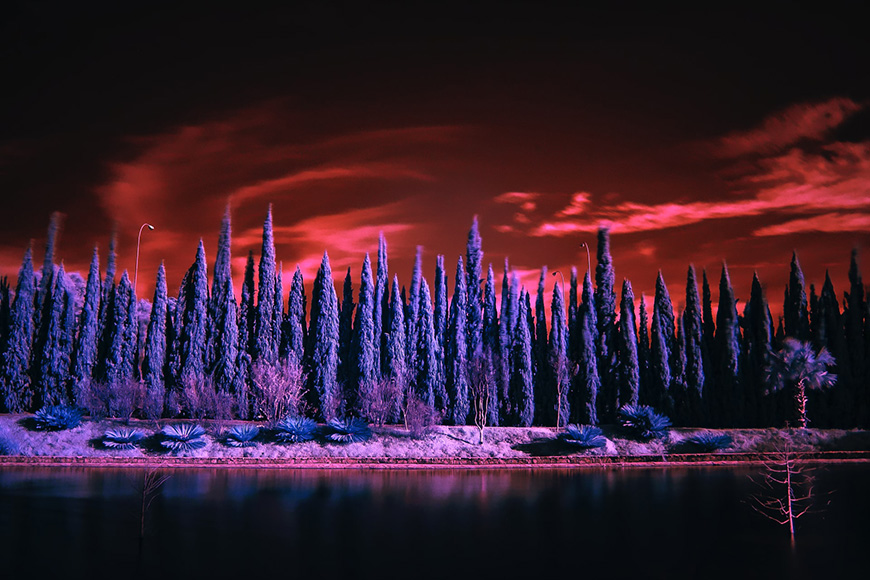 Digital infrared photography of frees and shoreline.