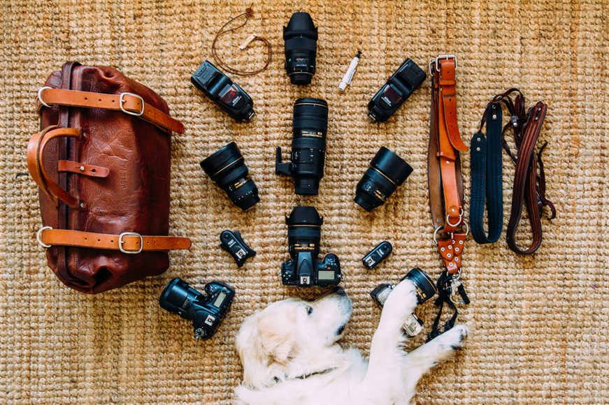 dog with cameras lenses