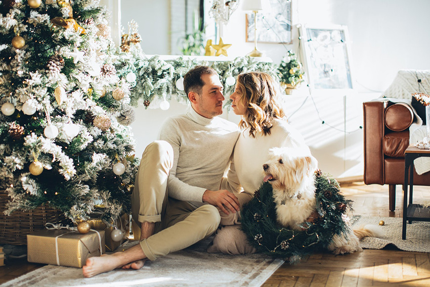A couple sitting for a portrait with their dog surrounded by Christmas decorations