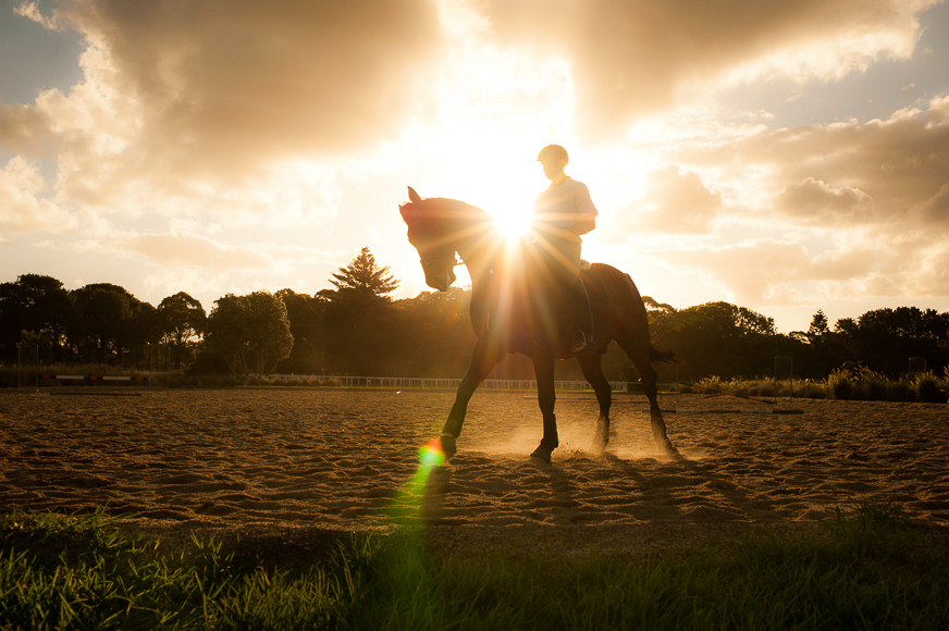 Silhouette of horse and rider with solar flare from the sun.