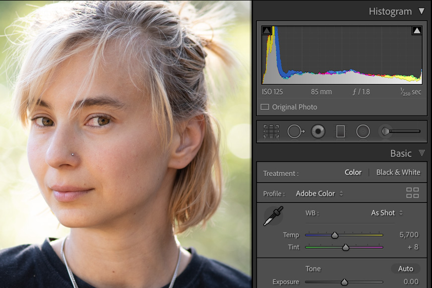 The histogram in the develop module helps to make sure you're mastering lightroom portraits editing.
