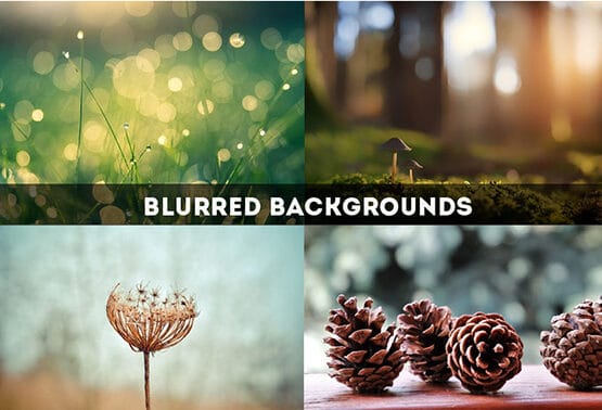 Blurred backgrounds one-click PS