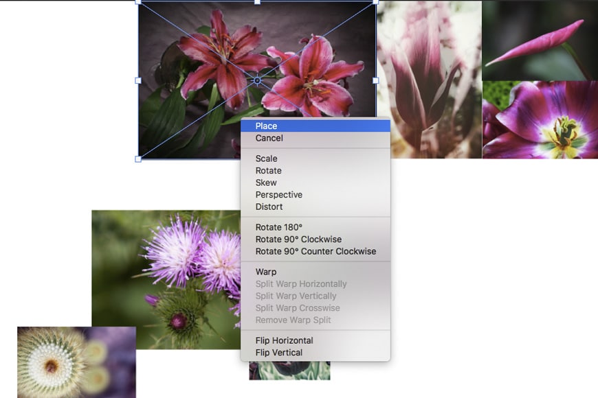 Place your images in Photoshop then transform and resize