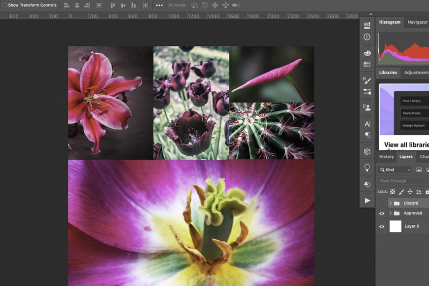 How To Make A Collage In Photoshop Step By Step