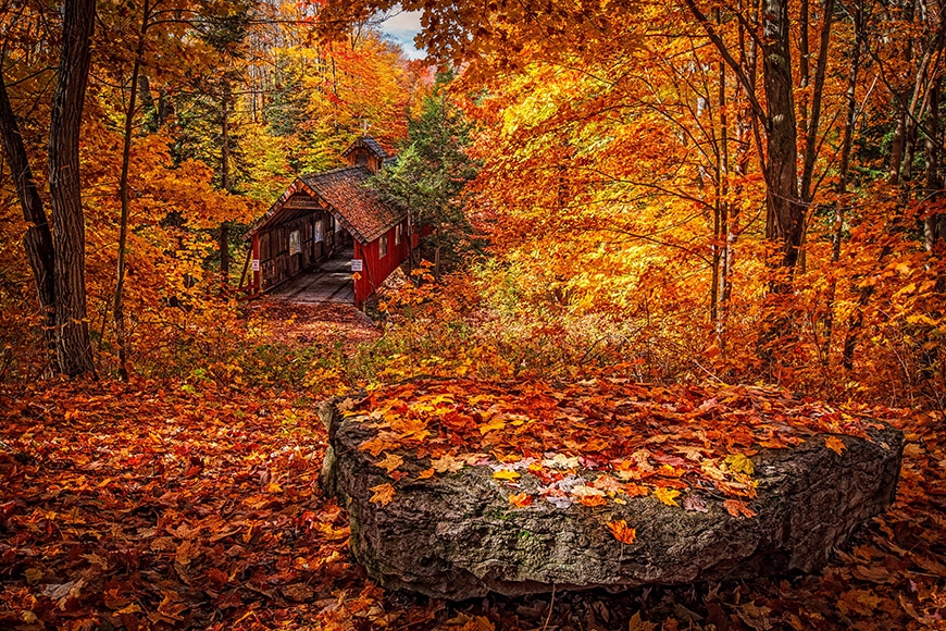 fall-photography