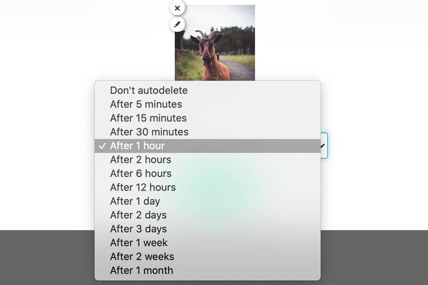 Screen shot showing how to select how long to store your photo