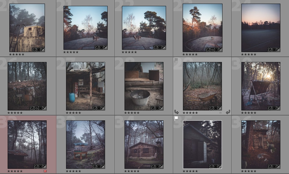 Lightroom library for culling images