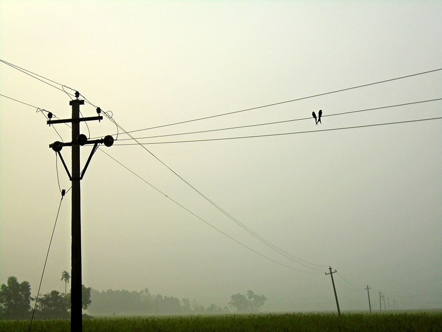 Power poles creating leading lines in an image