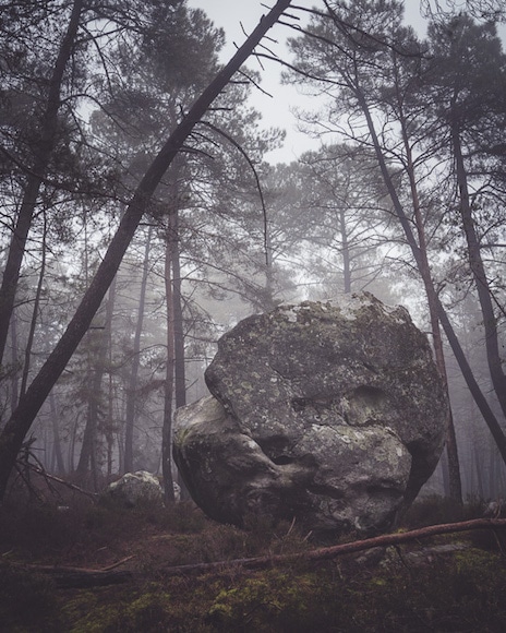 Boulder in a misty forest