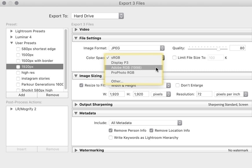 Export dialog box with sRGB color space file settings