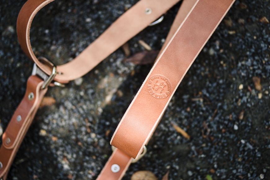 closeup leather strap