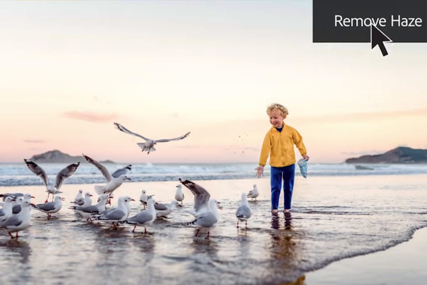 Photoshop Elements is one viable Picasa alternative