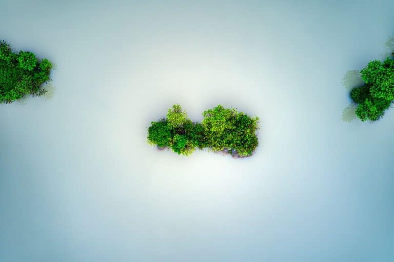 Creative Abstract Photography (16 Tips & Examples)