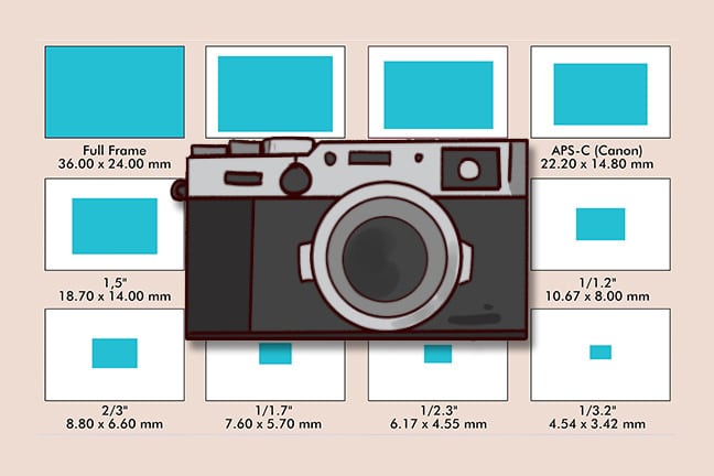 Spijsverteringsorgaan contrast Min 5 BEST Types of Camera Sensor for Your Photography