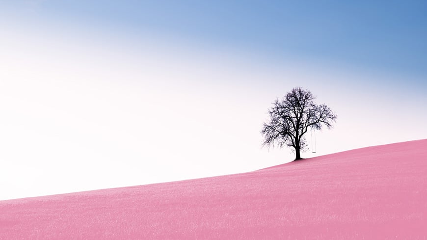 Tree with pink landscape