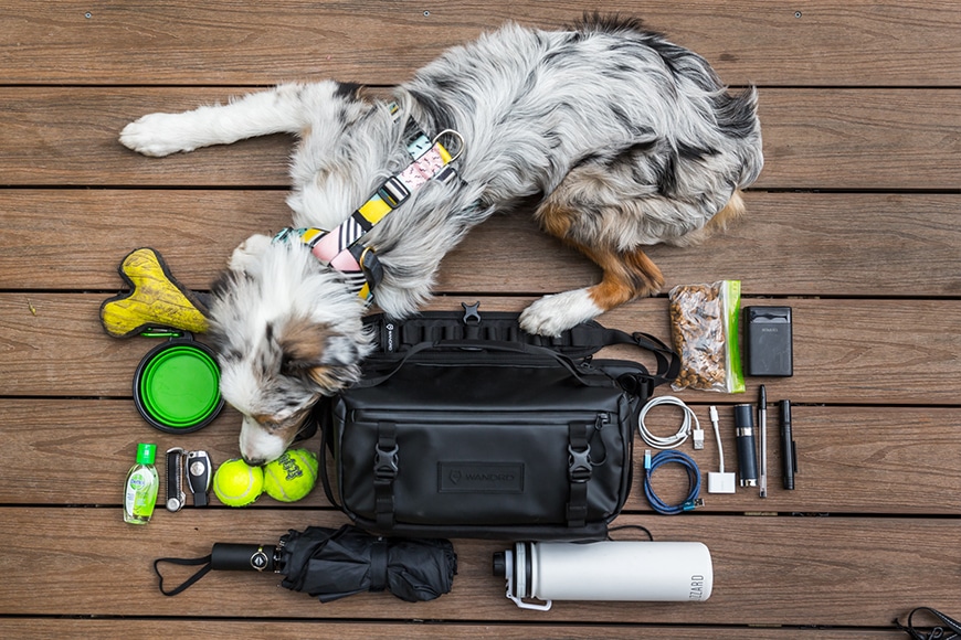 Commuting, Photography, and Doggy based day trips all can be done with the WANDRD Roam Sling!