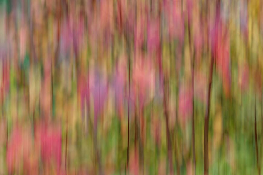 Abstract vertical blur