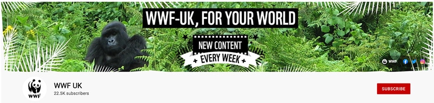 WWF UK YouTube banner example