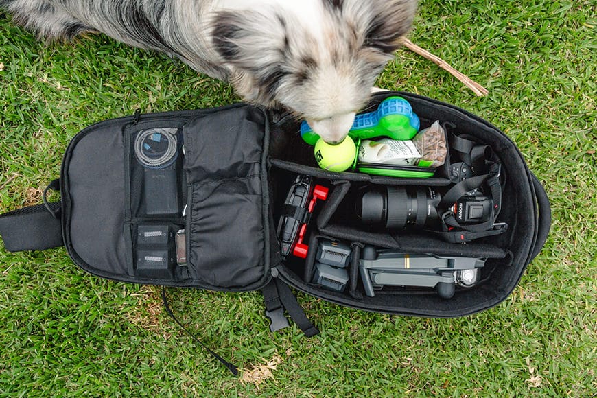 The dog is ready for a day out adventuring in the mountains, and so is the GearPack!