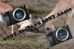 The Sony a6100 vs the Sony 6400
