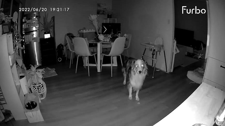 Video and Photos using the night vision mode are quite decent quality too.
