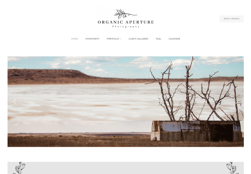 Organic Aperture Photography website